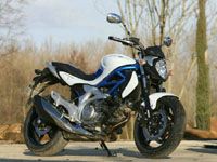 photo Suzuki Gladius