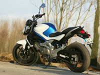 photo Suzuki Gladius