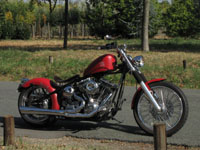 fond d'�cran Saxon Henchman