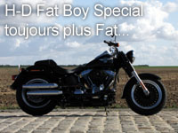 Harley-Davidson Fat Boy Special
