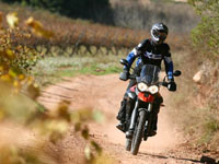 photo Triumph Tiger 800 XC