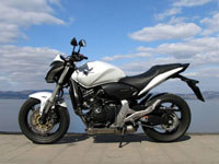 photo Honda Hornet 600