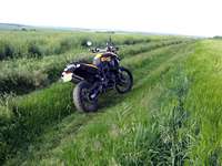 photo BMW F800 GS