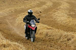 derbi terra125 23