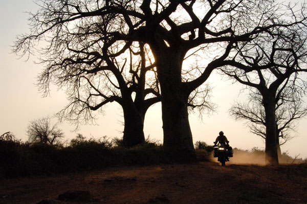bmw f800gs bmw f800gs