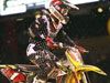Daytona : Chad Reed remporte le supercross FIM/AMA