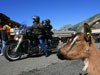 Balade estivale aux Morzine Harley Days 2011