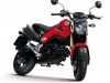 Honda MSX 125 pour 2013 : pour les loisirs !