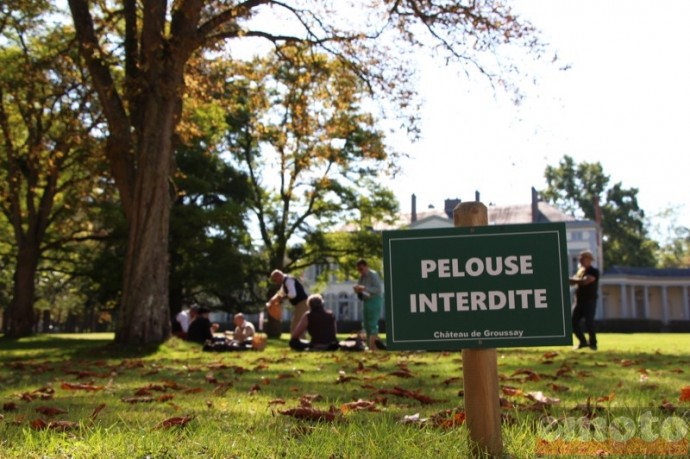 pelouse interdite mais pas aujourd hui pelouse interdite mais pas aujourd hui