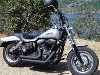 HD Dyna Fat Bob 1584