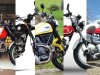 Comparatif 5 scramblers : Ducati Triumph Moto-Guzzi Suzuki et Mash