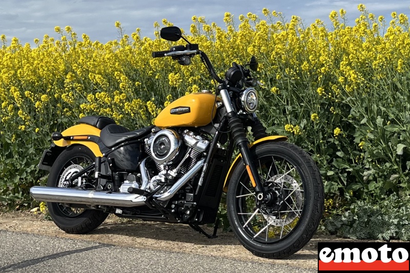 ligne street bob inchangee a part le silencieux