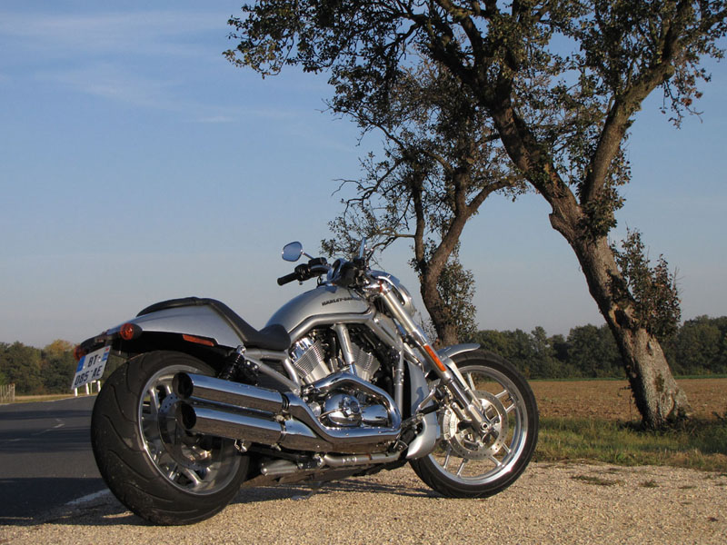 Essai Harley-Davidson V-Rod 1250