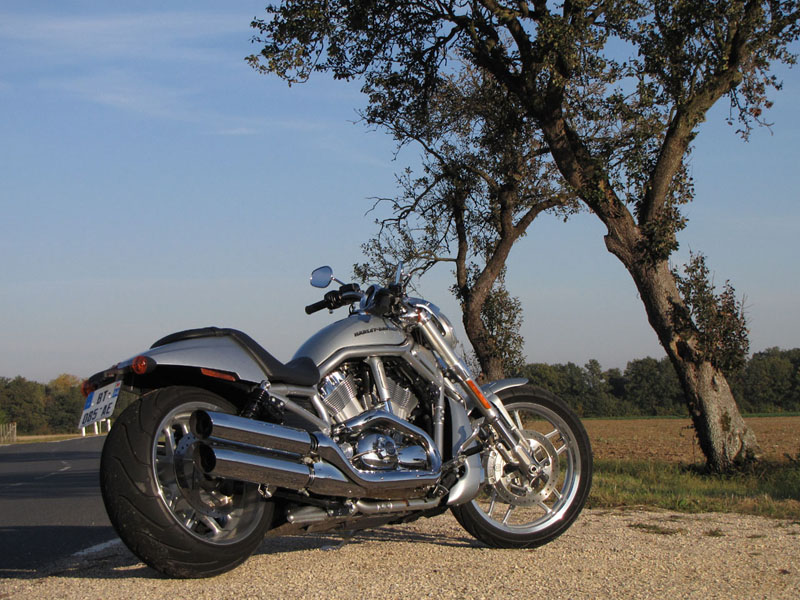 Essai Harley-Davidson V-Rod 1250 Essai Harley-Davidson V-Rod 1250