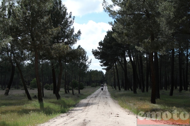 Balade Trail Rando à la croisée des Sierras étape 8 (ESP) : Navaluenga - Campillo de Ranas