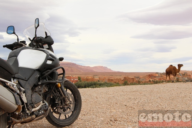 rallye v strom 2014 j3 ait ben haddou merzouga le dromadaire fait l air de rien mais bon