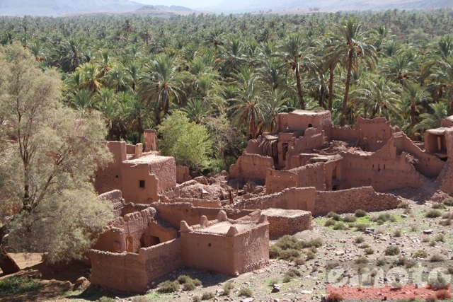 rallye v strom 2014 j5 zagora ouarzazate palmeraie dans la vallee du draa