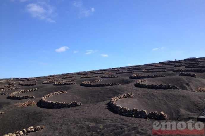 lanzarote un trou et un petit muret de pierres pour proteger 1 plan de vigne