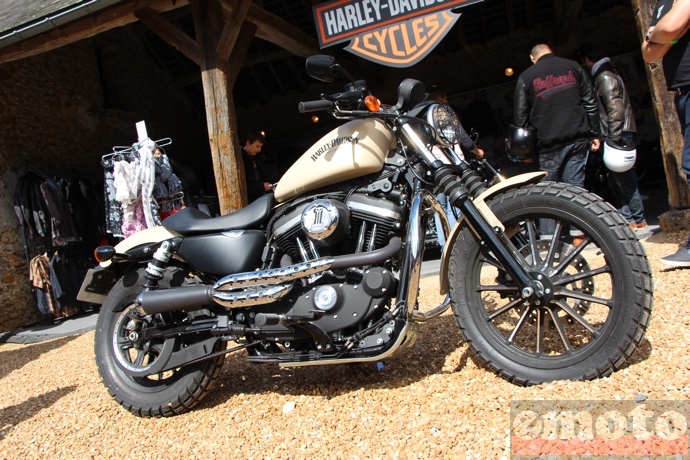 s one harley davidson iron scrambler