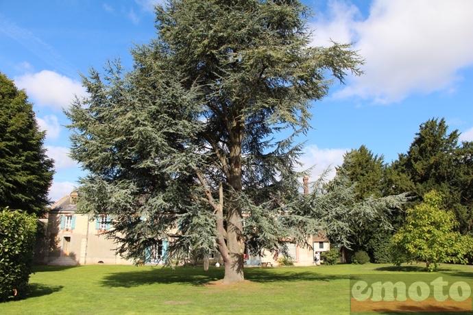 c est a l interieur de la ferme d armenon que ca se passe sous l arbre on fera la sieste