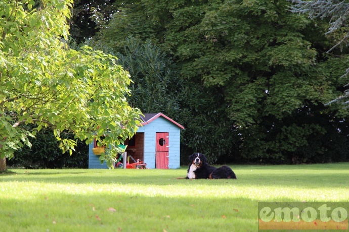 la ferme d armenon fait aussi chambre d hote et le chien s en fout visiblement