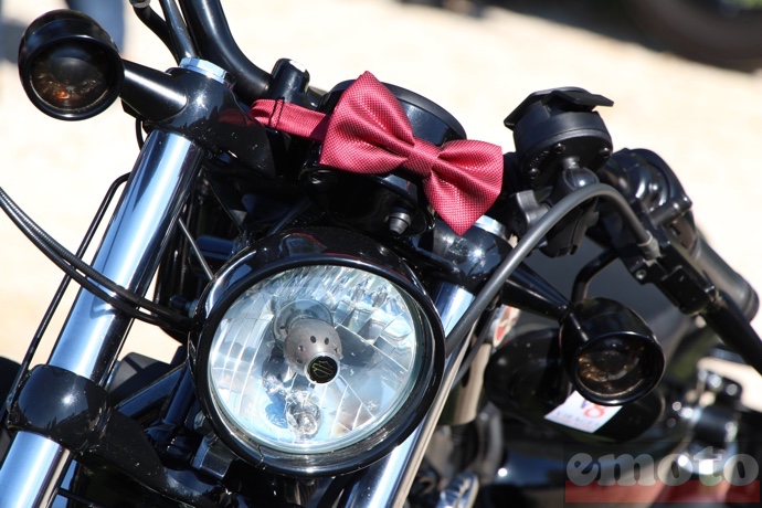 le style distinguished avec le noeud papillon sur ce sportster le style distinguished avec le noeud papillon sur ce sportster