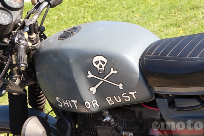 shit or bust pour le propri taire de cette bmw shit or bust pour le propri taire de cette bmw