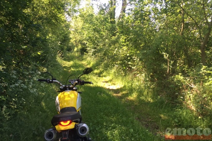 ducati scrambler 1100 dans le bocage normand