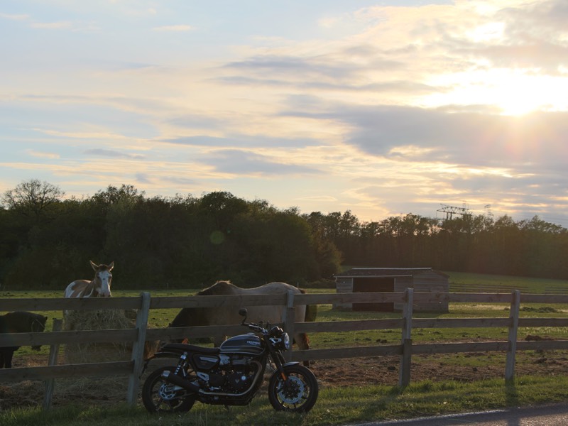 Essai Triumph Speed Twin