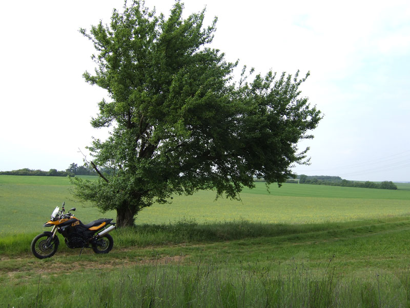 BMW F 800 GS