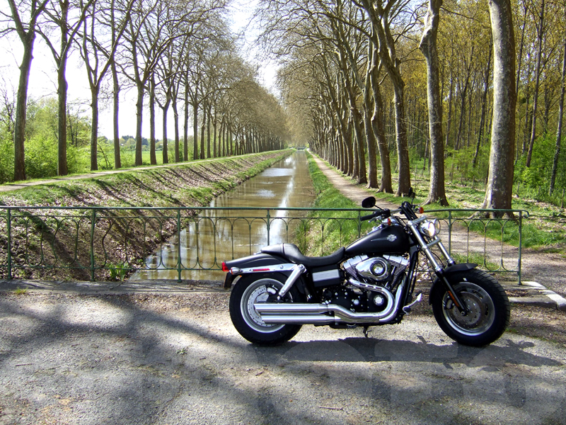 Essai Harley-Davidson Fat Bob