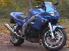 Essai Triumph Sprint RS