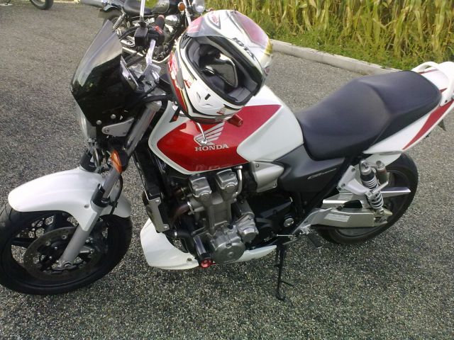 mon nouveau cheval