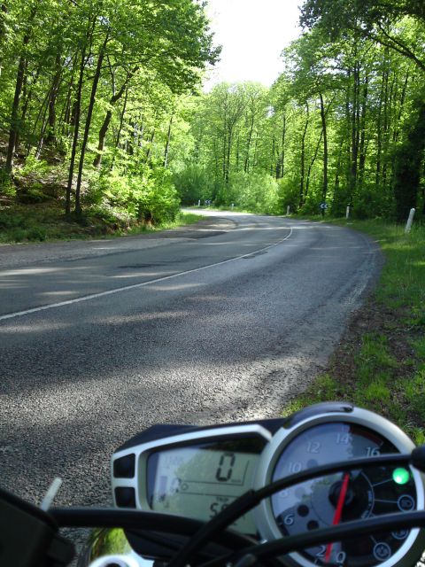 chevreuse ou vexin 25 avril.JPG