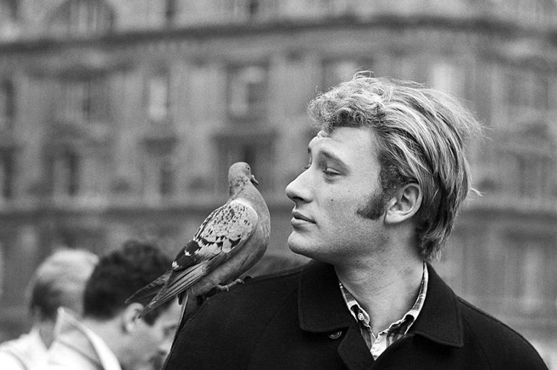 johnny hallyday a londres 1965 photo dr