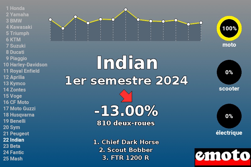 Immatriculations Indian en France au 1er semestre 2024 Immatriculations Indian en France au 1er semestre 2024