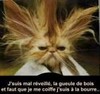 Par Slider06