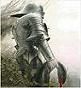 Par rey66