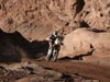 Marc Coma remporte le Dakar 2011