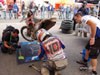 ISDE Jour 1 : un départ en fanfare pour la France
