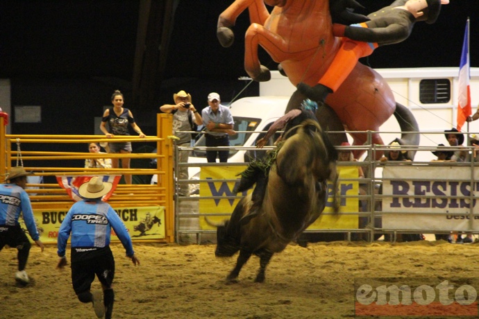 rodeo sur taureaux et chevaux quelques secondes avant la chute rodeo sur taureaux et chevaux quelques secondes avant la chute
