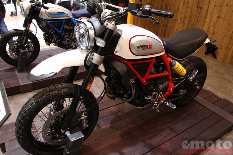 ducati scrambler desert sled