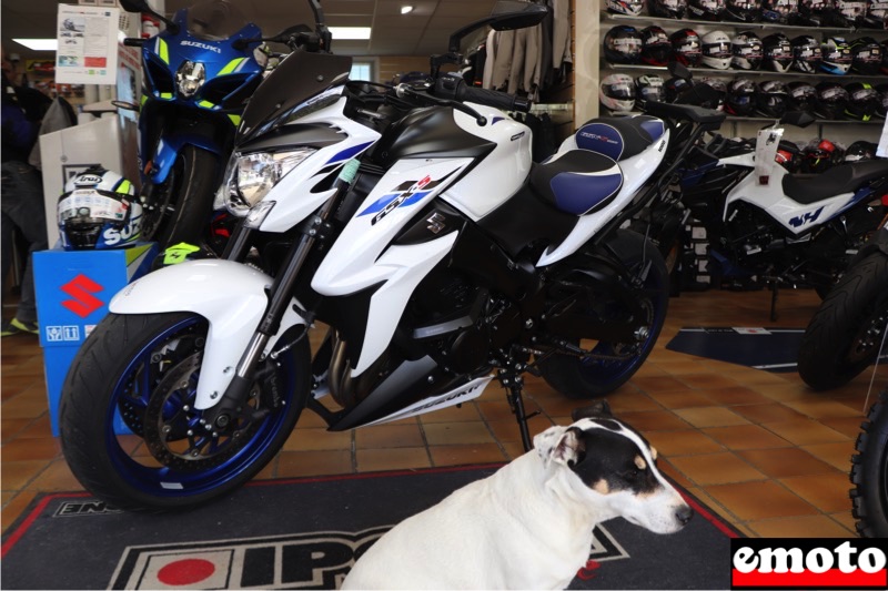 Prépa Suzuki GSXS 1000 par Yakamotos, preparation suzuki gsxs 1000 chez yakamotos sous l oeil de fun le chien Prépa Suzuki GSXS 1000 par Yakamotos, preparation suzuki gsxs 1000 chez yakamotos sous l oeil de fun le chien